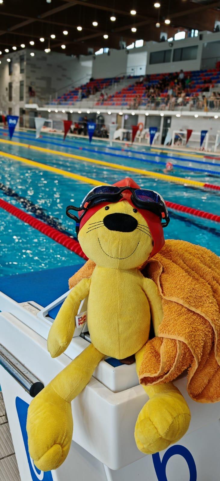 Super Swimmers